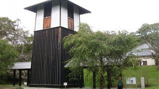 桜のお花見が人気