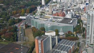 上からみても斬新なデザイン！