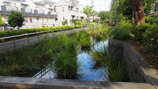 公園というよりは緑道です