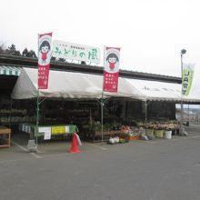 お店です