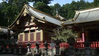 狩野探幽が想像したと言われる象の彫刻があります