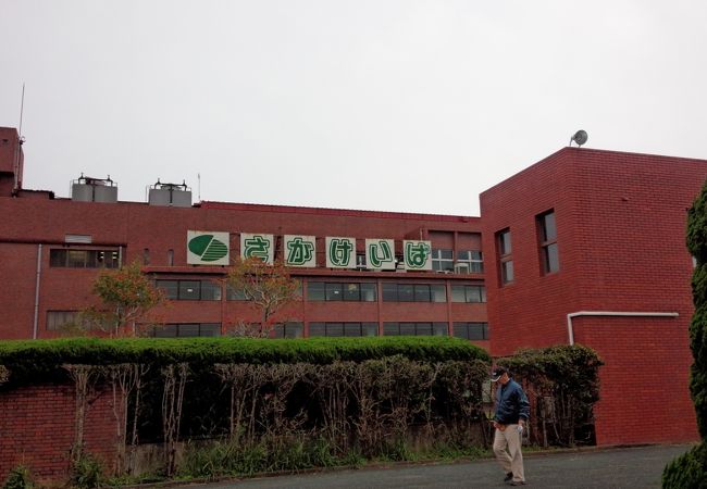 ローカルなんだけど綺麗な競馬場