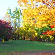 千葉市おゆみ野泉谷公園