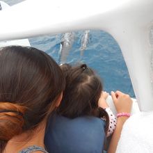 イルカ♡