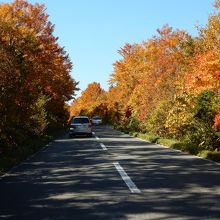 八甲田 十和田ゴールドライン（猿倉温泉付近）