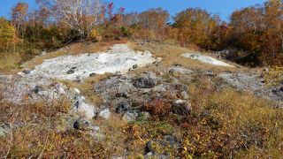 観音様は結構風化しており、結局探せなかったです。