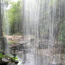 滝の裏側から見た景色