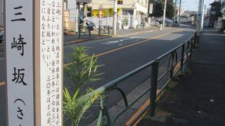 坂の両側は寺・寺・寺