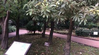 各都道府県から寄贈