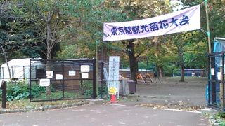 曰比谷公園で菊花大会