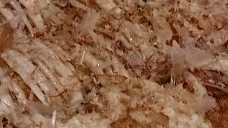 大坂っぽいたこ焼き店