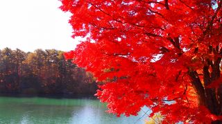 手漕ぎボートに乗れる湖沼