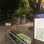 大井公園一帯