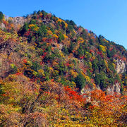 自信がない人は白井差登山口から