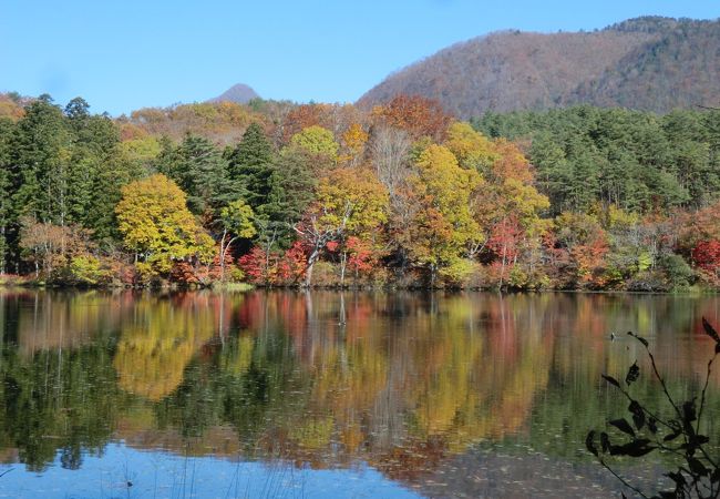 観音沼森林公園 クチコミ アクセス 営業時間 田島 南会津 フォートラベル
