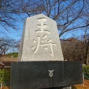 細い車道の上にある広い公園