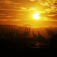 客室からの眺め（朝）