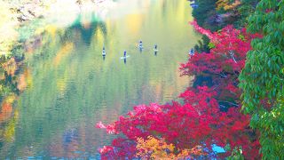 秋は紅葉が美しいです