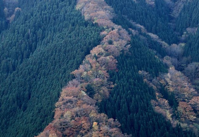 行者還岳 クチコミ アクセス 営業時間 洞川温泉 大峰山 天川 フォートラベル