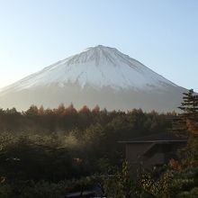 富士山を望む