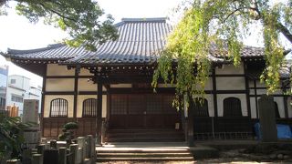 大木くすのきがあります