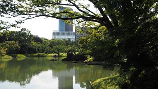 都会のオアシス