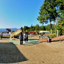 長尾山総合公園 恐竜滑り台