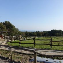 乗馬コーナー。