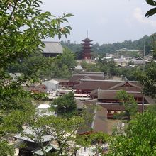 こんな景色が見られます