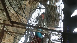 ツルツルテカテカの岩ではなかった