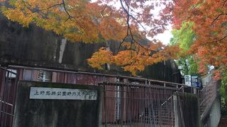 屋根も少しある