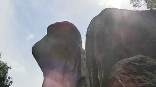 シーギリヤロックの下にある、降り道で見れる。