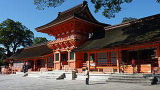 お子様からお年寄りまで誰でも楽しめる場所