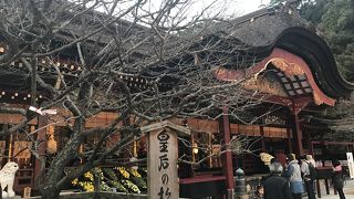 ご利益ありそう