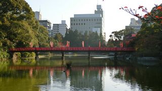長閑な風景が広がってます