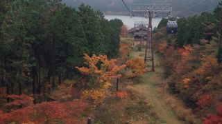 1日乗車券を利用しました