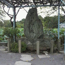 弁天島への橋を渡ると、すぐ右側に、不忍池由来碑が見えます。