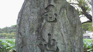 不忍池の弁天島への橋を渡ると右側に、不忍池由来碑の石碑があります。