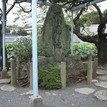 不忍池の由来碑の石碑を、弁天堂の方向から見ている写真です。