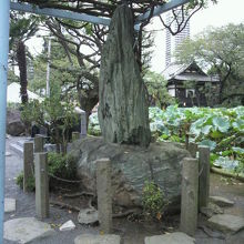 不忍池の由来碑の石碑を、上野公園の方向から見ている写真です。