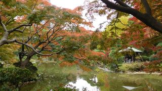 池の中央に「鶴の噴水」があります