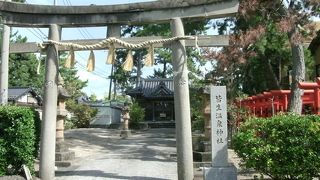 長寿のご利益があるそうです