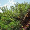 見所満載のお寺です