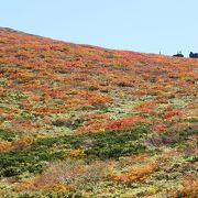 須川コースは変化があり楽しい