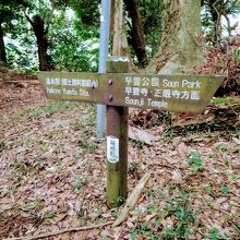 明神神社の斜面