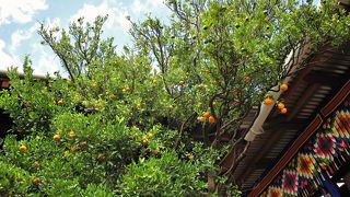 見所満載のお寺です