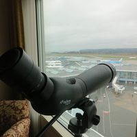 あはははは。おもしろい