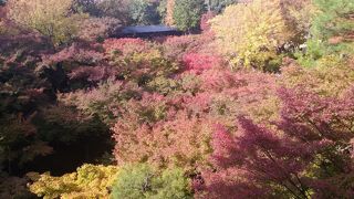 秋の京都東福寺紅葉を見に行ってきました。