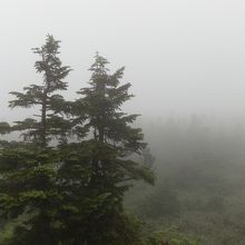 2016年、八幡平頂上展望台からの眺望、霧で視界が利かず。