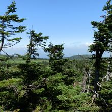 2015年、八幡平頂上展望台からの眺望、快晴でした。